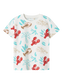 pack_shot-front