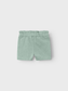 NBFHUBBI Shorts - Silt Green