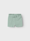 NBFHUBBI Shorts - Silt Green