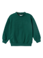 NMMRASMUS Sweatshirts - Forest Biome