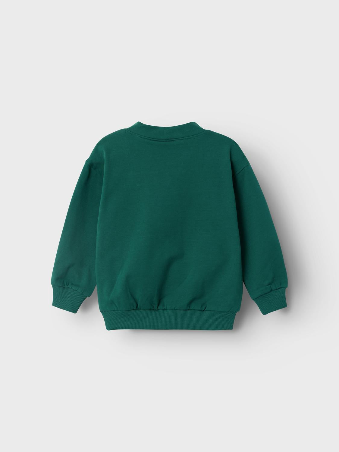 NMMRASMUS Sweatshirts - Forest Biome