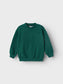 NMMRASMUS Sweatshirts - Forest Biome