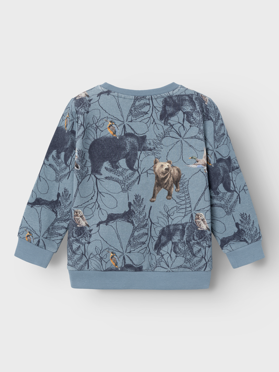 NMMOLERT Sweatshirts - Citadel