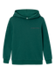 NKMRASTOLE Sweatshirts - Forest Biome