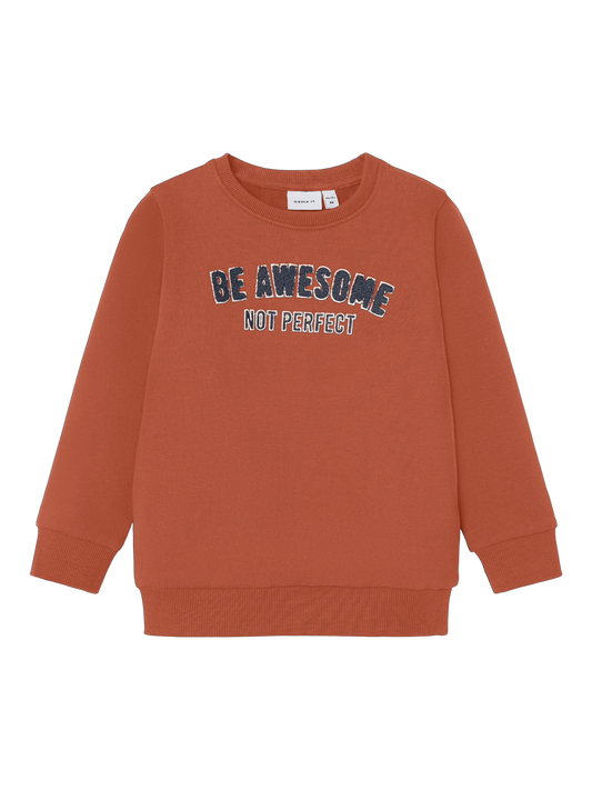 NMMTABIB Sweatshirts - Baked Clay